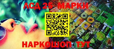 гашик Ставрополь