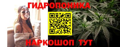 ГАЛЛЮЦИНОГЕННЫЕ ГРИБЫ Среднеуральск