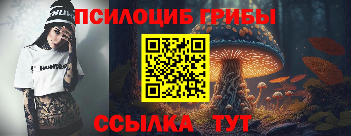 Нижнеудинск  Псилоцибиновые грибы Magic Shrooms  Вход с VPN 
